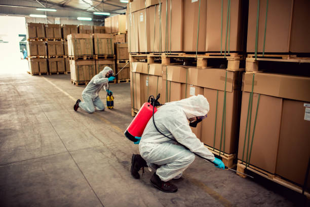 Best Commercial Pest Control Services  in Mount Arlington, NJ