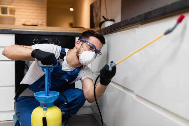 Best Pest Removal Services  in Mount Arlington, NJ