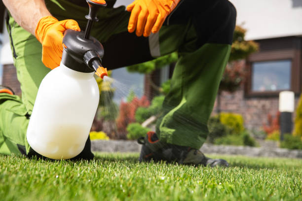 Reliable Mount Arlington, NJ Pest Control Solutions