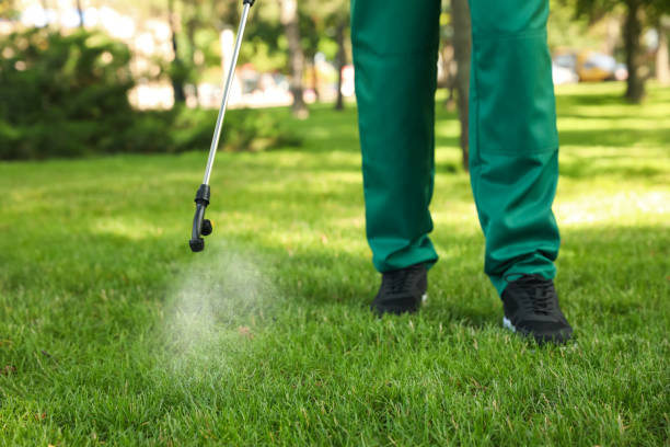 Best Termite Control Services  in Mount Arlington, NJ