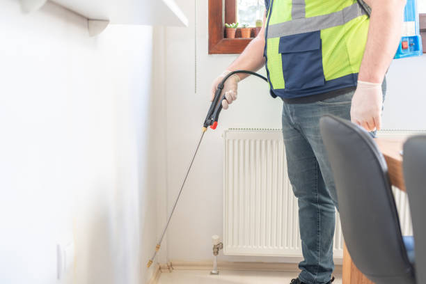 Best Mosquito Control Services  in Mount Arlington, NJ