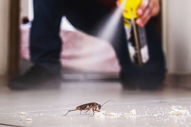 Best Pest Prevention Services  in Mount Arlington, NJ