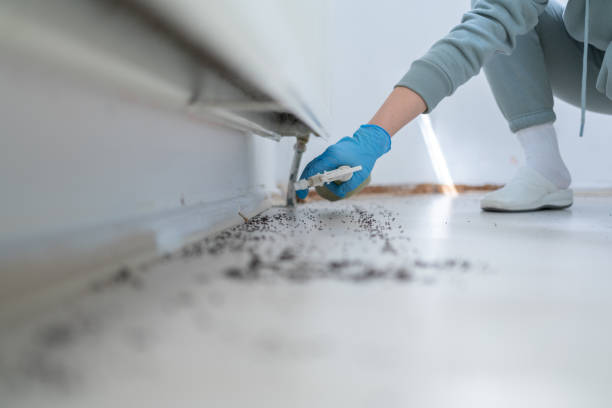 Best Best Pest Control Companies  in Mount Arlington, NJ